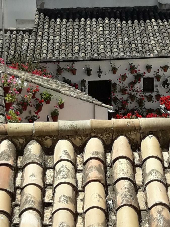 Los Tejares Del Alcazar Córdova Exterior foto
