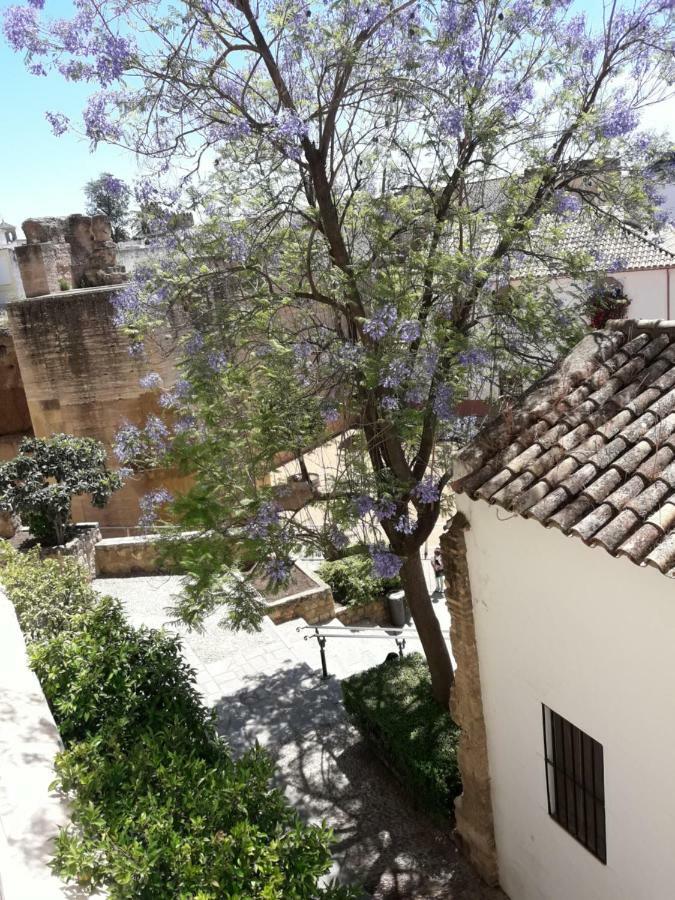 Los Tejares Del Alcazar Córdova Exterior foto
